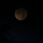 IMG_4608 rötlicher Mond